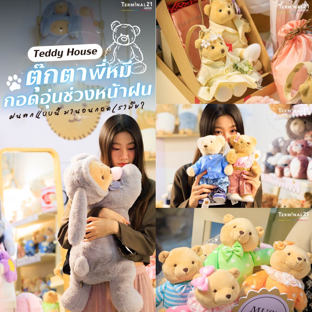 Teddy House ตุ๊กตาพี่หมีกอดอุ่นช่วงหน้าฝน