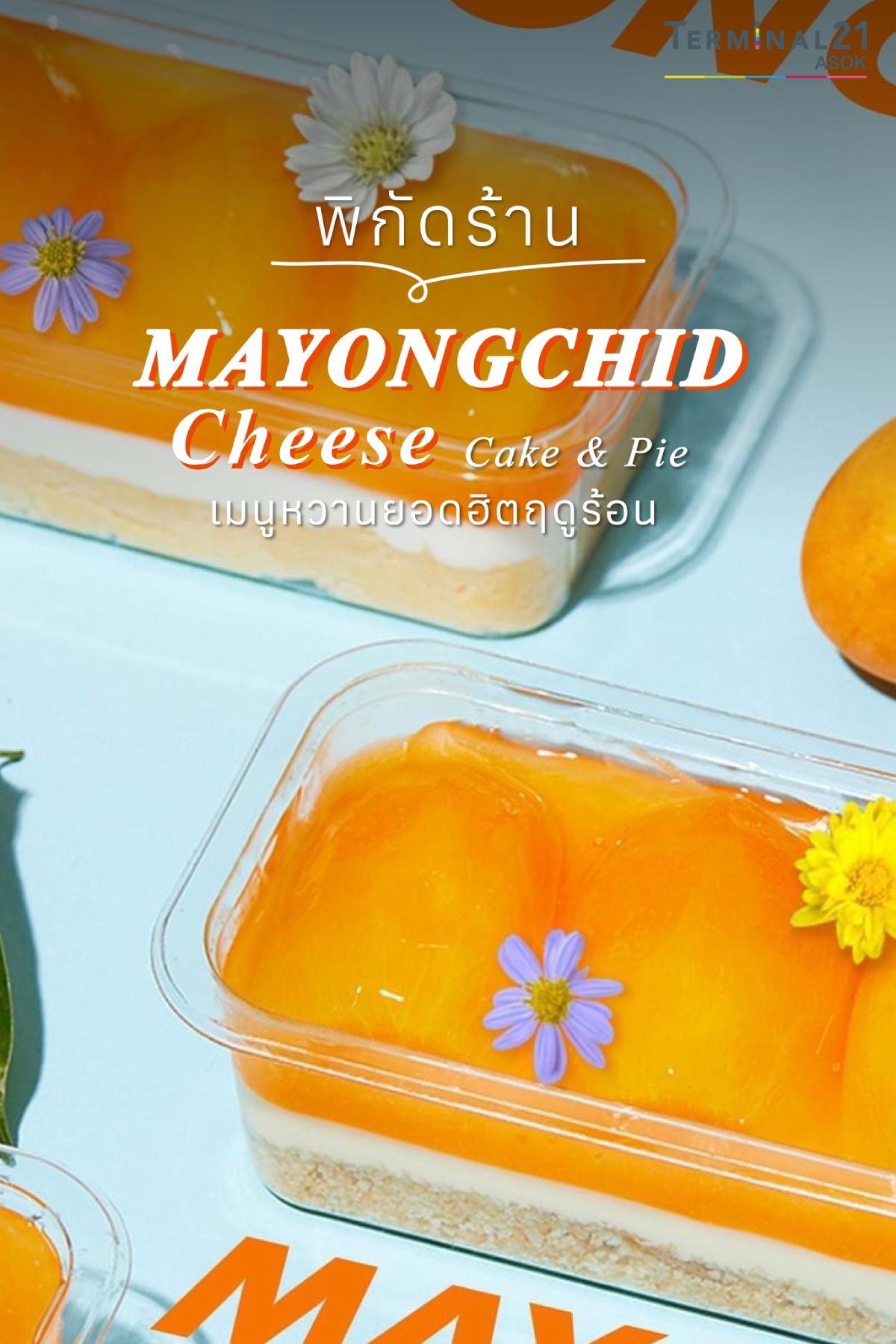 พิกัดร้าน MAYONGCHID Cheese Cake&Pie