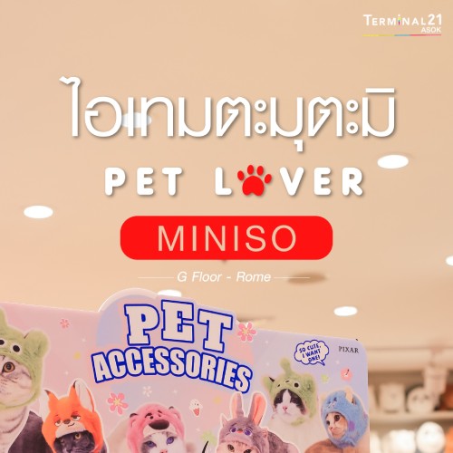 ไอเทมตะมุตะมิ PET LOVE