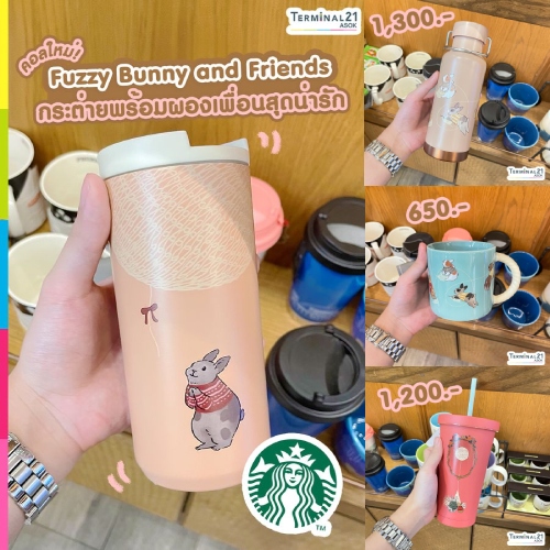 Fuzzy Bunny and Friends จาก Starbucks