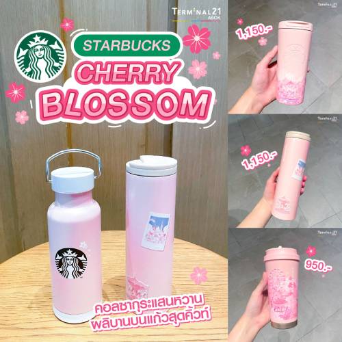 Cherry Blossom จาก Starbucks