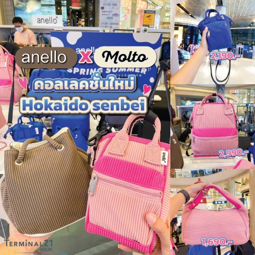 คอลเลคชั่นใหม่ anello x Molto น่ารักเกินเบอร์มาก 