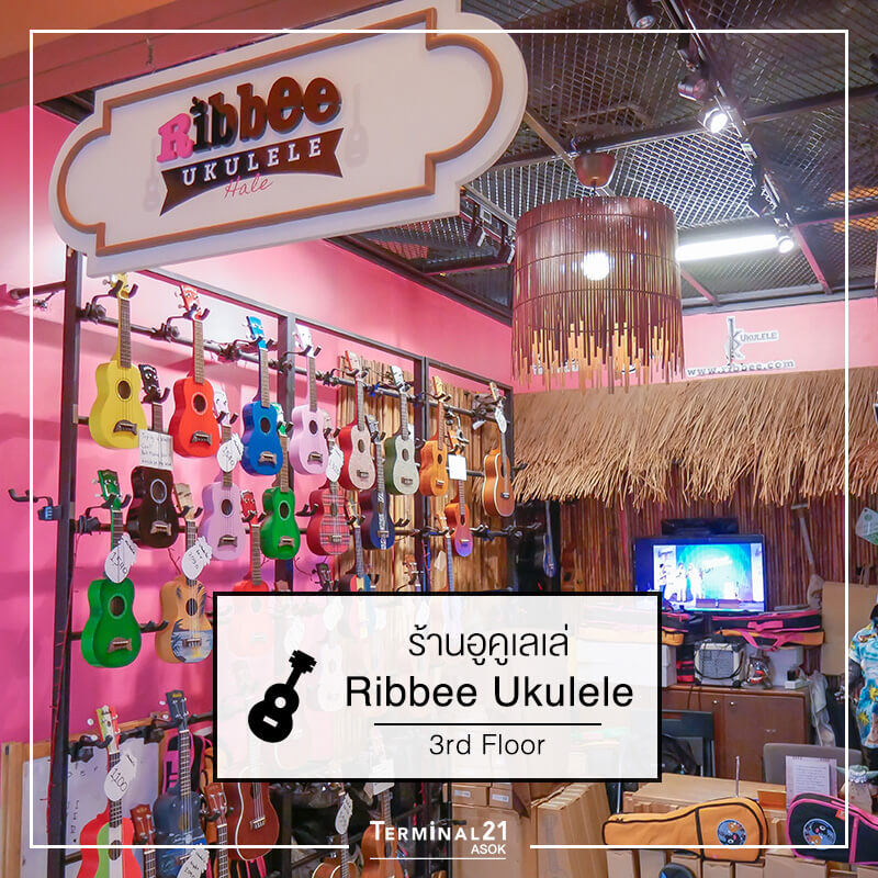 ร้าน Ribbee อูคูเลเล่